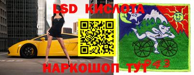 гидра Краснодар