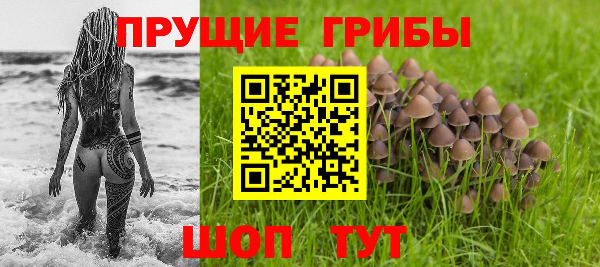 Псилоцибиновые грибы MAGIC MUSHROOMS Избербаш