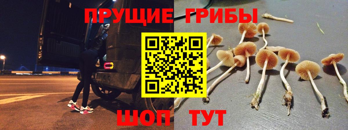 Галлюциногенные грибы GOLDEN TEACHER  Вход с VPN  Избербаш  Псилоцибиновые грибы прущие грибы 